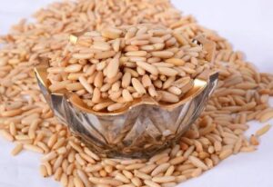 چلغوز چیست و چه خواصی دارد ؟