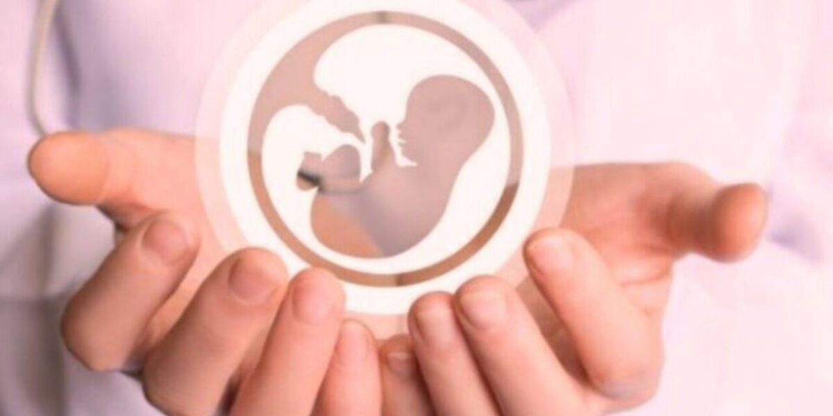 نگهداری جنین‌ها در بیمارستان آبان ادامه دارد