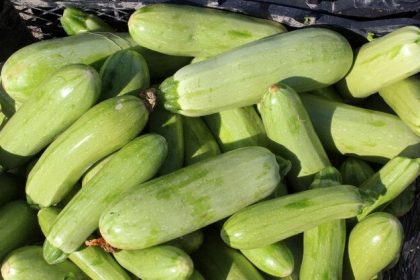 یک خوردنی مفید برای کاهش نفخ