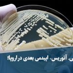 قارچ «سی. آئوریس» اپیدمی بعدی در اروپا!