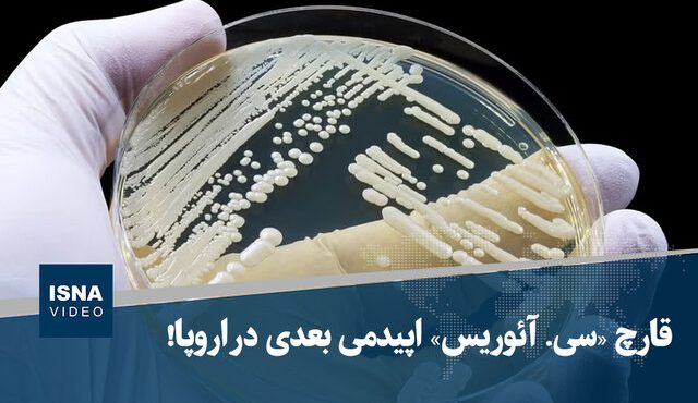 قارچ «سی. آئوریس» اپیدمی بعدی در اروپا!