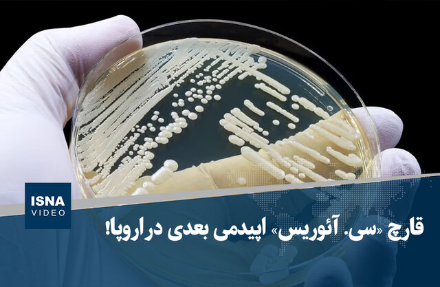 قارچ «سی. آئوریس» اپیدمی بعدی در اروپا!