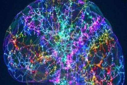 ورود به اعماق مغز بدون تیغ جراحی!