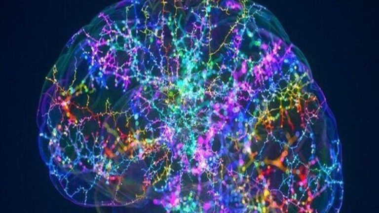 ورود به اعماق مغز بدون تیغ جراحی!