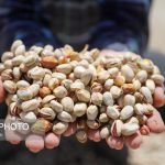 پسته یک مداخله تغذیه‌ای در بهبود سلامت متابولیک