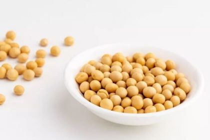 یک پروتئین گیاهی؛ از خواص و فرآورده‌های متنوع تا موارد احتیاط
