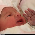 مناطق کم‌برخوردار نرخ باروری بالاتری دارند