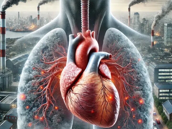 آلودگی هوا قلب را نشانه گرفت؛ هشدار جدی متخصص قلب2