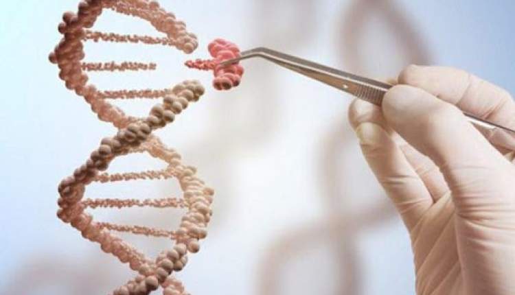 اجرای پایلوت پیشگیری از سرطان‌های ارثی در کشور