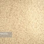 برنج را حذف نکنید؛ درست مصرف کنید