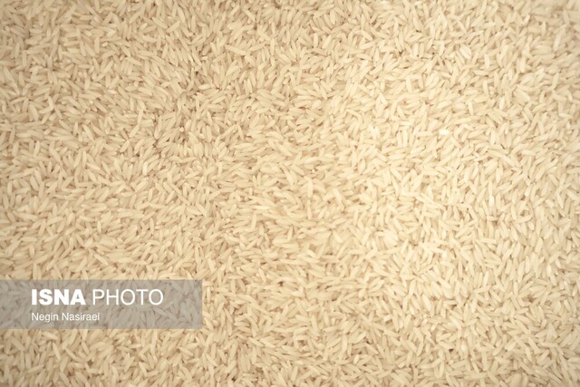 برنج را حذف نکنید؛ درست مصرف کنید