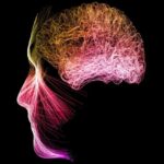 مدیتیشن فعالیت مغز را تغییر می‌دهد